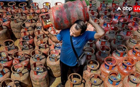 अब एक ही घर में PNG और LPG नहीं चलेंगे साथ-साथ, सरकार ने लगाई रोक, आसान शब्दों में समझें माजरा