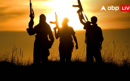 Jammu Kashmir Terrorist: जम्मू में घुसपैठ की कोशिश नाकाम, सुरक्षा बलों ने उरी सेक्टर में ढेर किया पाकिस्तानी आतंकी