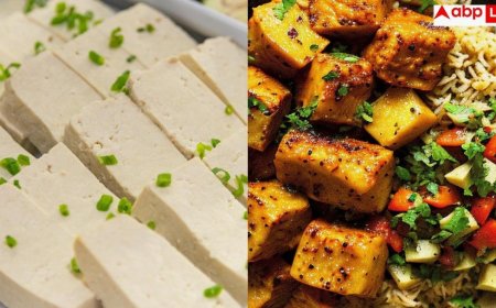 Tofu Vs Paneer: टोफू या पनीर... किसमें होता है ज्यादा प्रोटीन, वेट लॉस के लिए क्या है बेहतरीन?