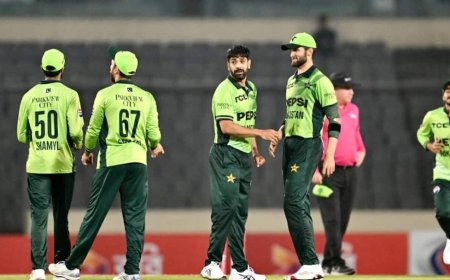 'कुछ तो शर्म करो...', जिम्बाब्वे से भी बदतर पाकिस्तान टीम, पूर्व क्रिकेटर ने खोल दी पोल