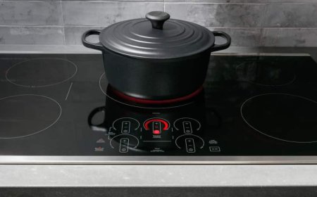 इंडक्शन चूल्हे पर खाना बनाते ही यह गलती तो नहीं कर रहे आप! जल्दबाजी से हो सकता है बड़ा कांड, संभलकर करें यूज