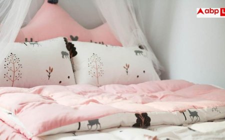 When to Change Your Pillow: कितने साल तक इस्तेमाल करना चाहिए एक तकिया, जानें कब बन जाता है बीमारी का कारण?