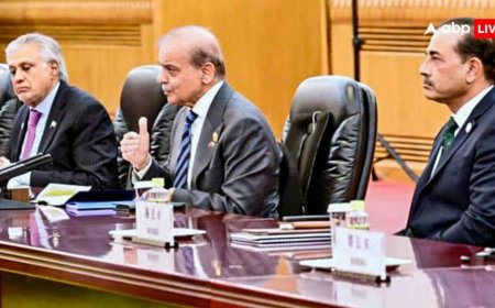 कैसे हो गुजारा? घटता जा रहा पाकिस्तान का ऊर्जा भंडार, 10 दिन का पड़ा है LPG स्टॉक