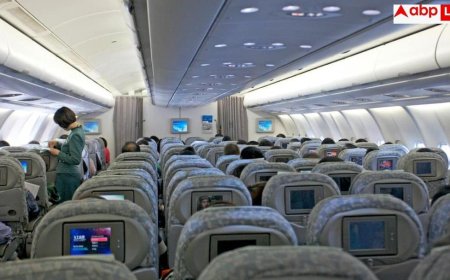 Seat Divorce Trend: फ्लाइट में 'सीट डिवोर्स'! आखिर साथ सफर करने के बावजूद अलग-अलग क्यों बैठ रहे कपल्स?