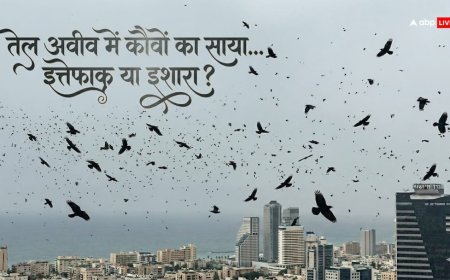 Tel Aviv Crows Viral Video: तेल अवीव में कौवों के झुंड का वीडियो तेजी से वायरल, यूजर्स बोलें- यह आपदा का संकेत है?