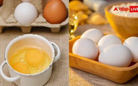 Egg Making Gadgets: अंडा खाने के दीवाने हैं तो घर में जरूर रखें ये गैजेट्स, उबालने से डिश बनाने तक करते हैं काम