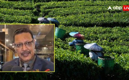 ईरान की जंग का असर तेहरान से लेकर असम तक, राज्य का चाय उद्योग संकट में; TAI सचिव ने दी चेतावनी