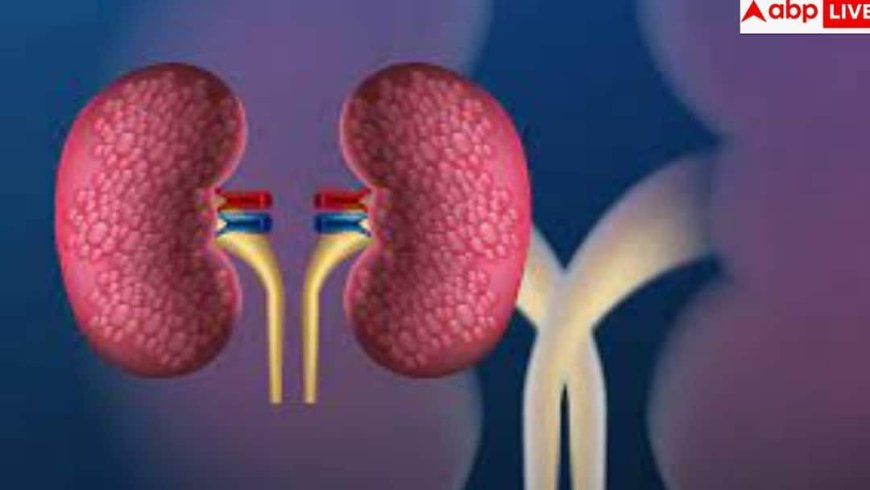 Kidney Failure Symptoms: कमर दर्द, बार-बार यूरिन या चेहरे पर सूजन... शरीर के इन संकेतों को न लें हल्के में, हो सकता है किडनी फेलियर!