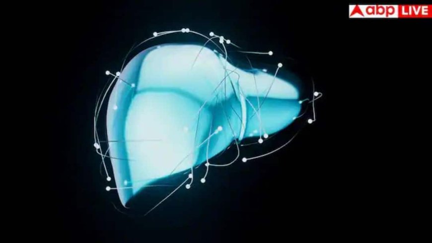 Fatty Liver Disease: सिर्फ शराब ही नहीं, आपकी खराब लाइफस्टाइल भी बना रही है लिवर को बीमार; जानें कैसे बचें?