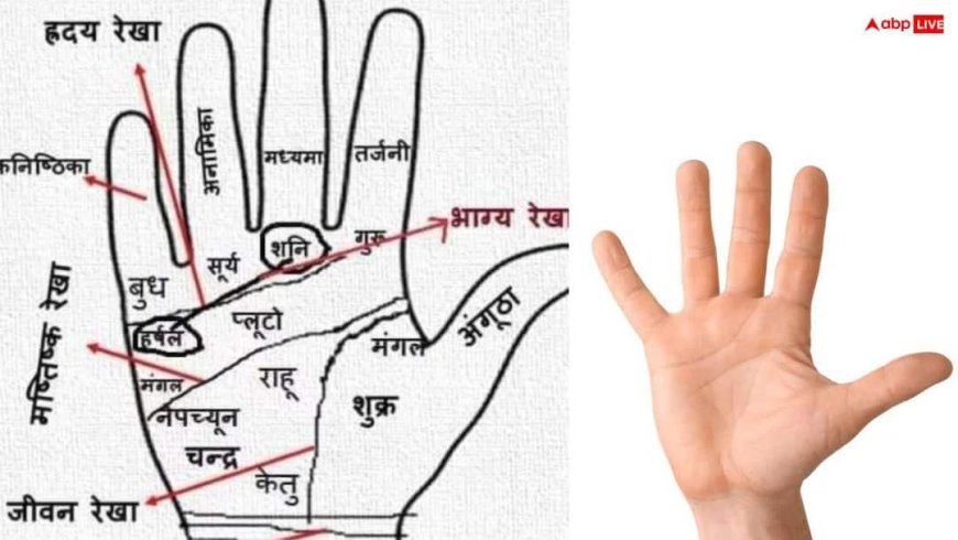 Marriage Line in Palmistry: लव या अरेंज? हाथ की ये रेखा बताएगी कैसी होगी आपकी शादी