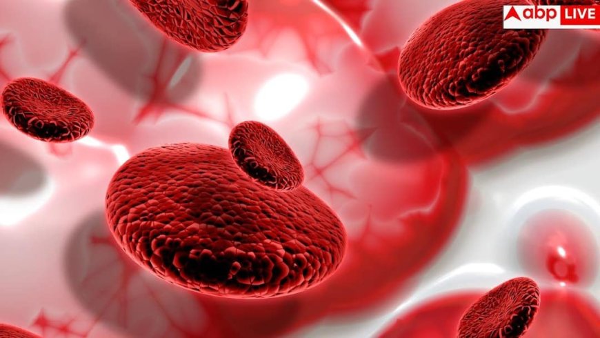 Severe Aplastic Anemia: सीवियर एप्लास्टिक एनीमिया छीन लेता सांसें, जानें स्टेम सेल डोनर ने कैसे बचाई लड़के की जान?