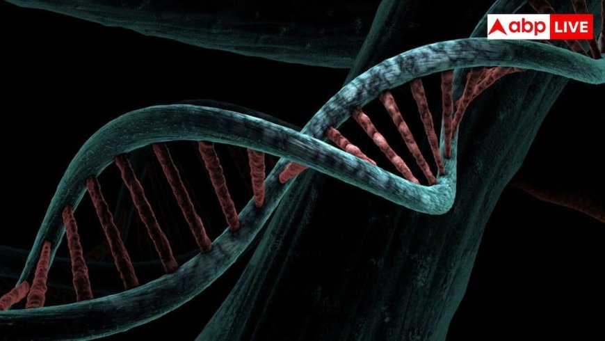 शरीर में किस वजह से बढ़ने लगता है यूरिक एसिड, इसमें कैसी होनी चाहिए डाइट