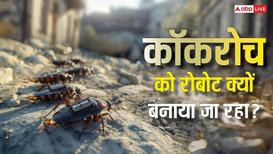 ड्रोन हो गए पुराने! अब बन रहे हैं रोबोटिक कॉकरोच, दुश्मन के इलाके में जाकर करेंगे यह काम