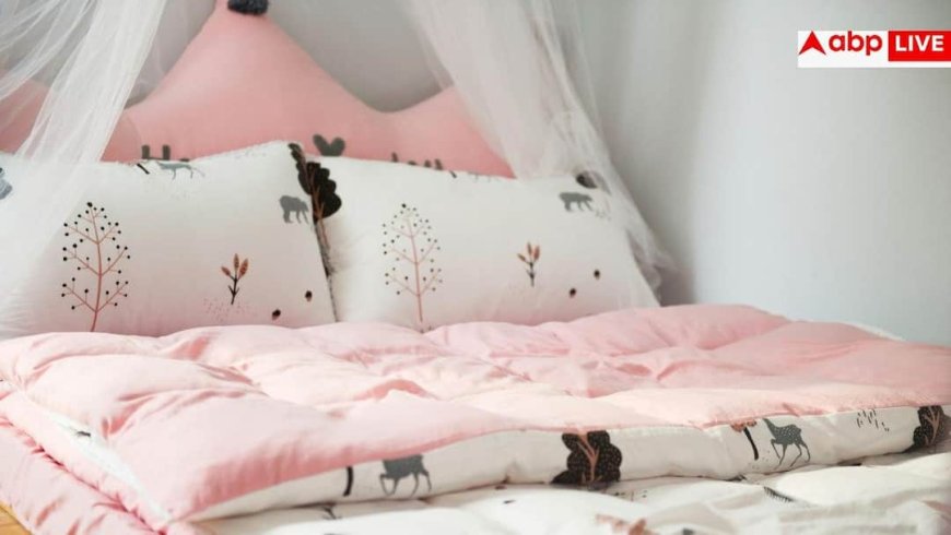 When to Change Your Pillow: कितने साल तक इस्तेमाल करना चाहिए एक तकिया, जानें कब बन जाता है बीमारी का कारण?