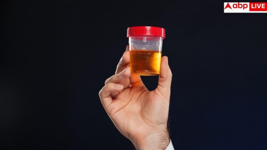 Blood In Urine: पेशाब में आ रहा है खून तो हो सकता है कैंसर, तुरंत करा लें ये टेस्ट