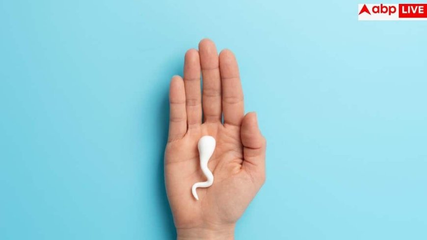 Sperm Survival After Death: पुरुष की मौत के बाद कितने घंटे तक जिंदा रहता है स्पर्म, क्या उससे भी मां बन सकती है महिला?