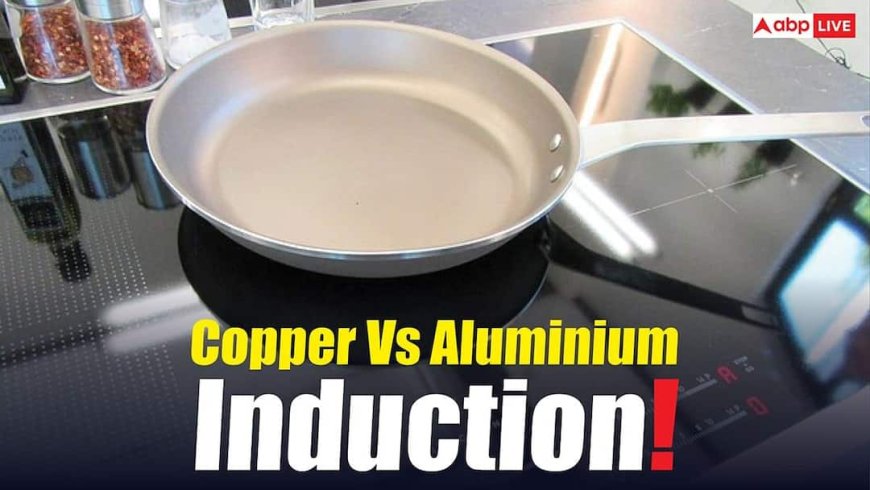 Copper Vs Aluminium: इंडक्शन चूल्हा खरीदने से पहले जान लिजिए कौन देगा सालों तक तगड़ी परफॉर्मेंस? किसे लेने में है फायदा