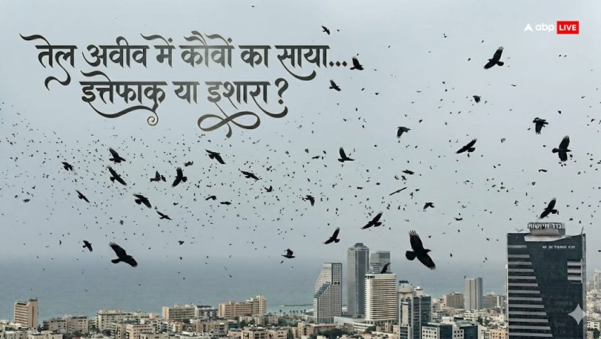 Tel Aviv Crows Viral Video: तेल अवीव में कौवों के झुंड का वीडियो तेजी से वायरल, यूजर्स बोलें- यह आपदा का संकेत है?