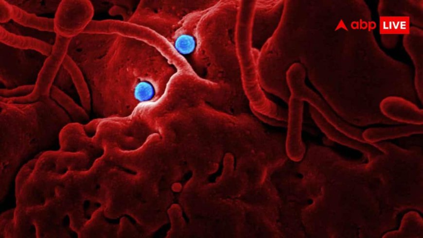 New Covid Variant: 75 म्यूटेशन के साथ आया कोरोना का नया वैरिएंट, जानें इससे डरने की जरूरत कितनी?