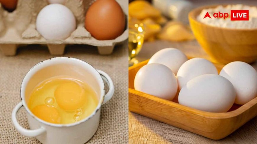 Egg Making Gadgets: अंडा खाने के दीवाने हैं तो घर में जरूर रखें ये गैजेट्स, उबालने से डिश बनाने तक करते हैं काम
