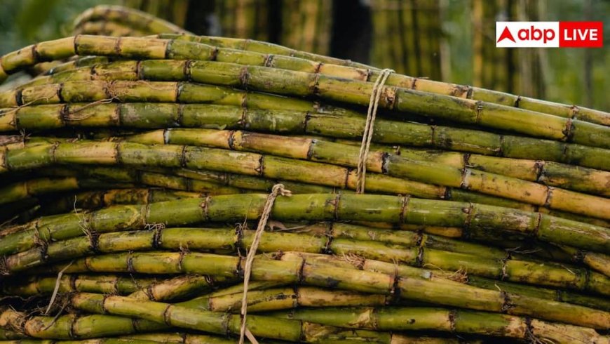 क्या शुगर के मरीज पी सकते हैं गन्ने का जूस, जानें क्या कहते हैं एक्सपर्ट?