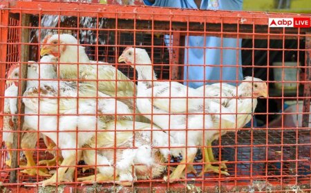 मिडिल ईस्ट संकट: नॉनवेज खाने वालों को बड़ा झटका, अनिश्चितकालीन हड़ताल पर चिकन दुकानदार