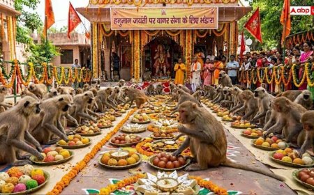 हनुमान जयंती पर अनोखा भंडार, वानर सेना ने पेट भरकर खाई मिठाईयां, Video Viral