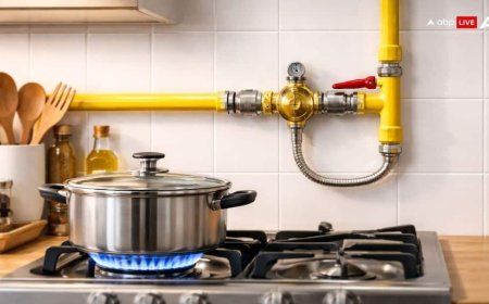 वैश्विक ऊर्जा संकट के बीच भारत सरकार का PNG विस्तार पर फोकस, एक महीने में लगे 3.42 लाख नए कनेक्शन