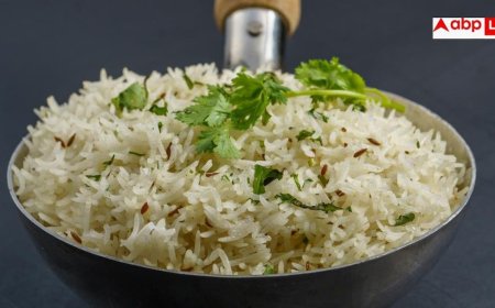 Protein Rich Rice: क्या चावल खाने से डरते हैं? CSIR की नई खोज से बदलेगी आपकी थाली, आयरन-विटामिन की नहीं होगी कमी