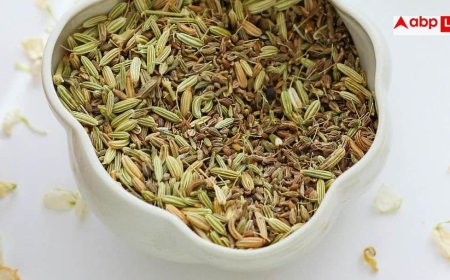 How To Clean Fennel Seeds: क्या सौंफ बीनते-बीनते आप भी हो जाती हैं परेशान? जानें इसे साफ करने का सबसे सही तरीका