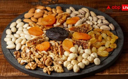 हेल्दी लाइफस्टाइल के लिए कितना होना चाहिए नट्स का सही पोर्शन? जानें खाने का सही तरीका और मात्रा