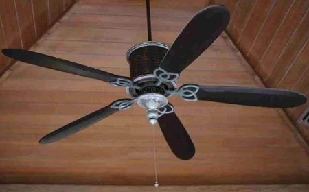 Tech Tips: कितने ब्लेड वाला सीलिंग फैन देता है सबसे तेज हवा? जानिए क्या है इसके पीछे की तकनीक