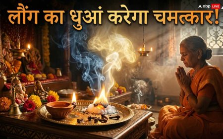 Vastu remedies for Cloves: नेगेटिव एनर्जी हटाने का सीक्रेट फॉर्मूला, लौंग के धुएं से जुड़ें 5 टोटके जो सच में असरदार हैं!