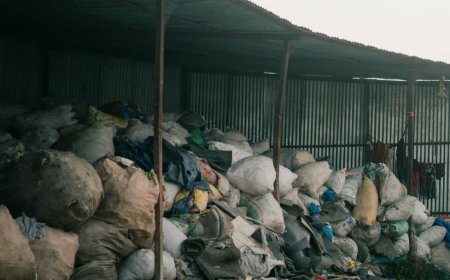 Effects Of Bad Smells On Health: आसपास की बदबू आपको बना रही है बीमार? जानें सेहत पर इसके गंभीर असर