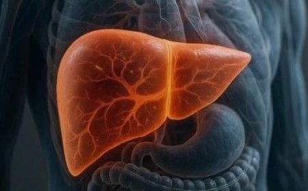 Fatty Liver Disease: क्या बिना शराब पिए डैमेज हो सकता है लिवर, जानें आपकी रोजाना की कौन-सी गलतियां पड़ रहीं भारी?