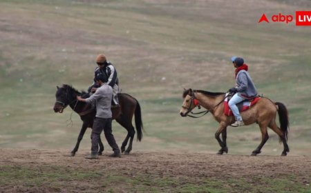 Animal Ride Weight Limit : ज्यादा है वजन तो इन जगहों पर नहीं जा सकते घूमने, जानें क्यों लागू हुआ कानून?