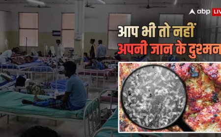 Explained: कढ़ाई पनीर और मंचूरियन खाने के बाद युवक की मौत! एक्सपर्ट्स से जानें- गर्मियों में कैसे पकाएं और खाएं खाना