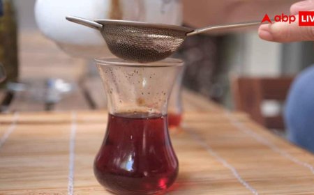 Kitchen Cleaning Tips: चाय छानते छानते 'चाय की छन्नी' के बंद हो गए हैं छेद, इस ट्रिक से तुरंत हो जाएगी साफ