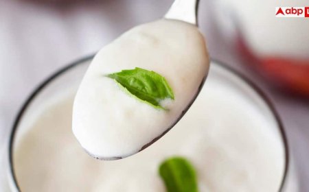 Tips To Keep Curd Fresh Longer: ऐसे जमाएंगे तो कभी खट्टा नहीं होगा दही, जान लें ट्रिक