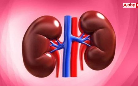 Health Warning Signs: शरीर के इन छोटे संकेतों को न करें इग्नोर, वरना डैमेज हो सकते हैं लिवर और किडनी