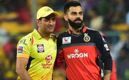 आज के दिन हुई थी IPL की शुरुआत, जानें कितने खिलाड़ी पहले सीजन से अब तक खेल रहे