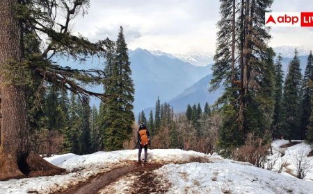 Summer Vacation Travel Guide: गर्मियों की छुट्टियां बिताने के लिए ढूंढ रहे हैं बेस्ट लोकेशन, ये लिस्ट देख लें तो दूर हो जाएगी कंफ्यूजन