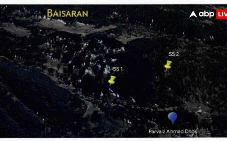 पहलगाम का 'काला चिट्ठा': NIA की चार्जशीट से खुलासा, कैसे पाकिस्तान से आए कॉर्डिनेट्स ने ली 26 मासूमों की जान
