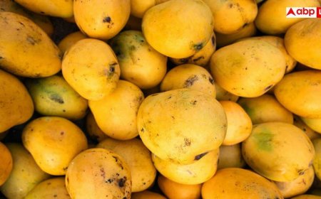 Mango For Diabetes: डायबिटीज में आम खा सकते हैं या नहीं? एक्सपर्ट से जानें सेहत से जुड़ी बात