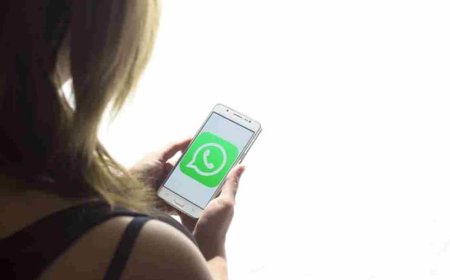 WhatsApp Plus क्या है? क्या अब चैटिंग के लिए भी देना होगा पैसा! जानिए क्या है पूरी सच्चाई