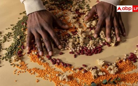 High Protein Diet:अपनी डाइट में ये तीन चीजें कर लें शामिल, प्रोटीन के लिए नहीं पड़ेगी नॉनवेज खाने की जरूरत