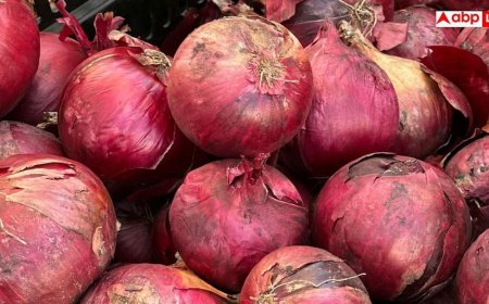 Onion Health Benefits: पीएम मोदी भी जमकर खाते हैं प्याज, जानें इसके फायदे और नुकसान?