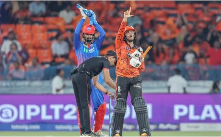 अभिषेक शर्मा की वजह से 250 नहीं बना पाई सनराइजर्स हैदराबाद, लास्ट 12 गेंद में बनाए सिर्फ 12 रन