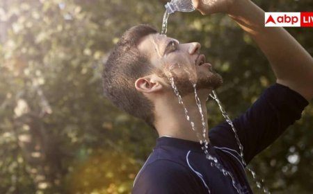 Heat stroke: सूरज की तपिश से बढ़ने लगे हीट स्ट्रोक के मामले, डॉक्टर से जानें बचने के तरीके
