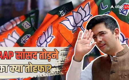 Explained: मोदी कैबिनेट का 'तोहफा' या पंजाब बीजेपी का चेहरा होंगे राघव चड्ढा? AAP के 7 सांसदों की विदाई के साथ बने 4 सिनेरियो